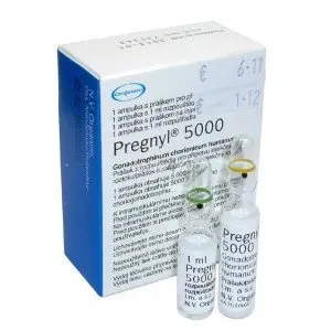 HCG Pregnyl Ampules 5000 IU pregnyl hcg 500 iu ampules