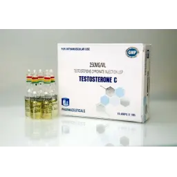 Testosterone C