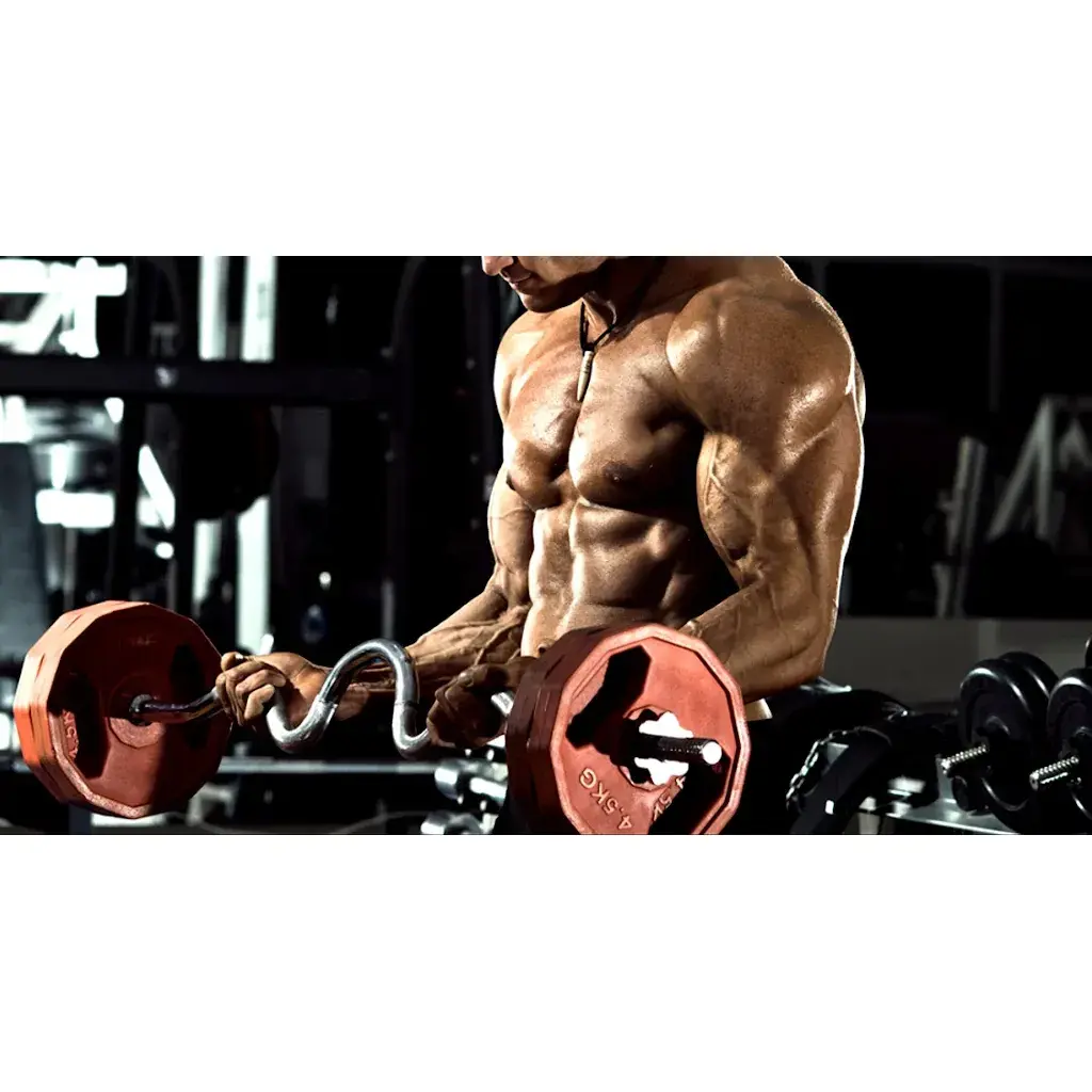 Types Of Steroid Cycles